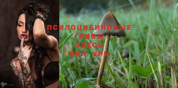 гашишное масло Осташков