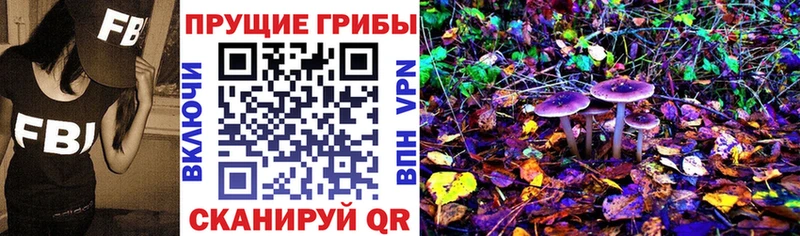 Галлюциногенные грибы мухоморы  Купить закладки  Люберцы 